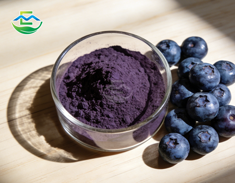 Blueberry Extract